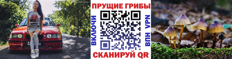 цена   Ленинск-Кузнецкий  Псилоцибиновые грибы мухоморы 