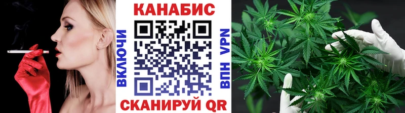 Шишки марихуана семена  Ленинск-Кузнецкий 